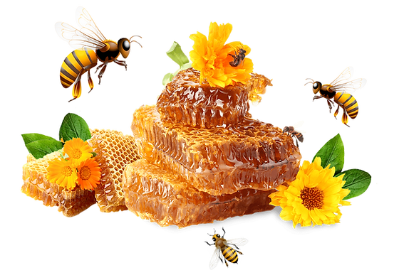 HONEY